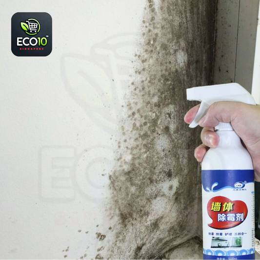 500ML Wall Mildew Remover Spray – Powerful Mold Cleaner