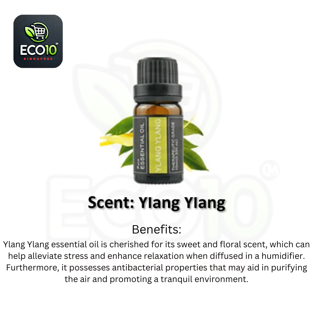 100% Pure Essential Oil - 10ml