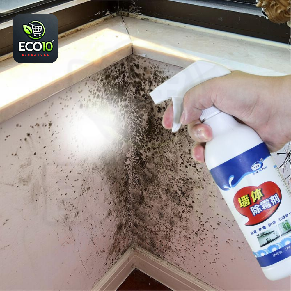500ML Wall Mildew Remover Spray – Powerful Mold Cleaner